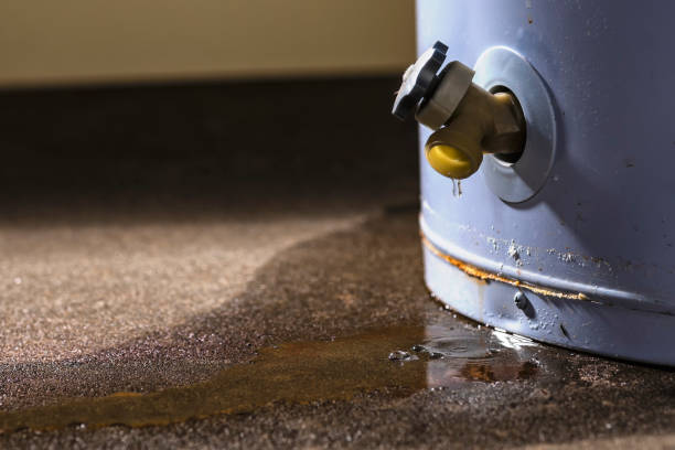 Best Flood restoration services  in Oak Island, NC