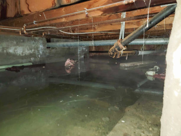 Best Water damage restoration company  in Oak Island, NC