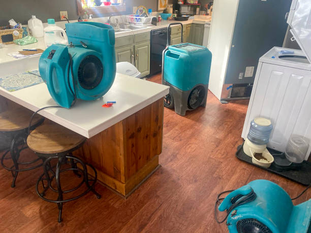 Best Local water damage restoration  in Oak Island, NC