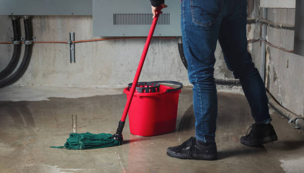 Best Local water damage restoration  in Oak Island, NC
