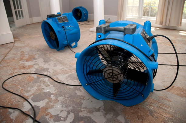 Best Mold removal after water damage  in Oak Island, NC