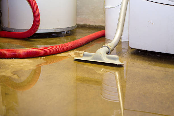 Best Commercial water damage restoration  in Oak Island, NC